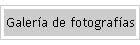 Galera de fotografas