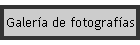Galera de fotografas